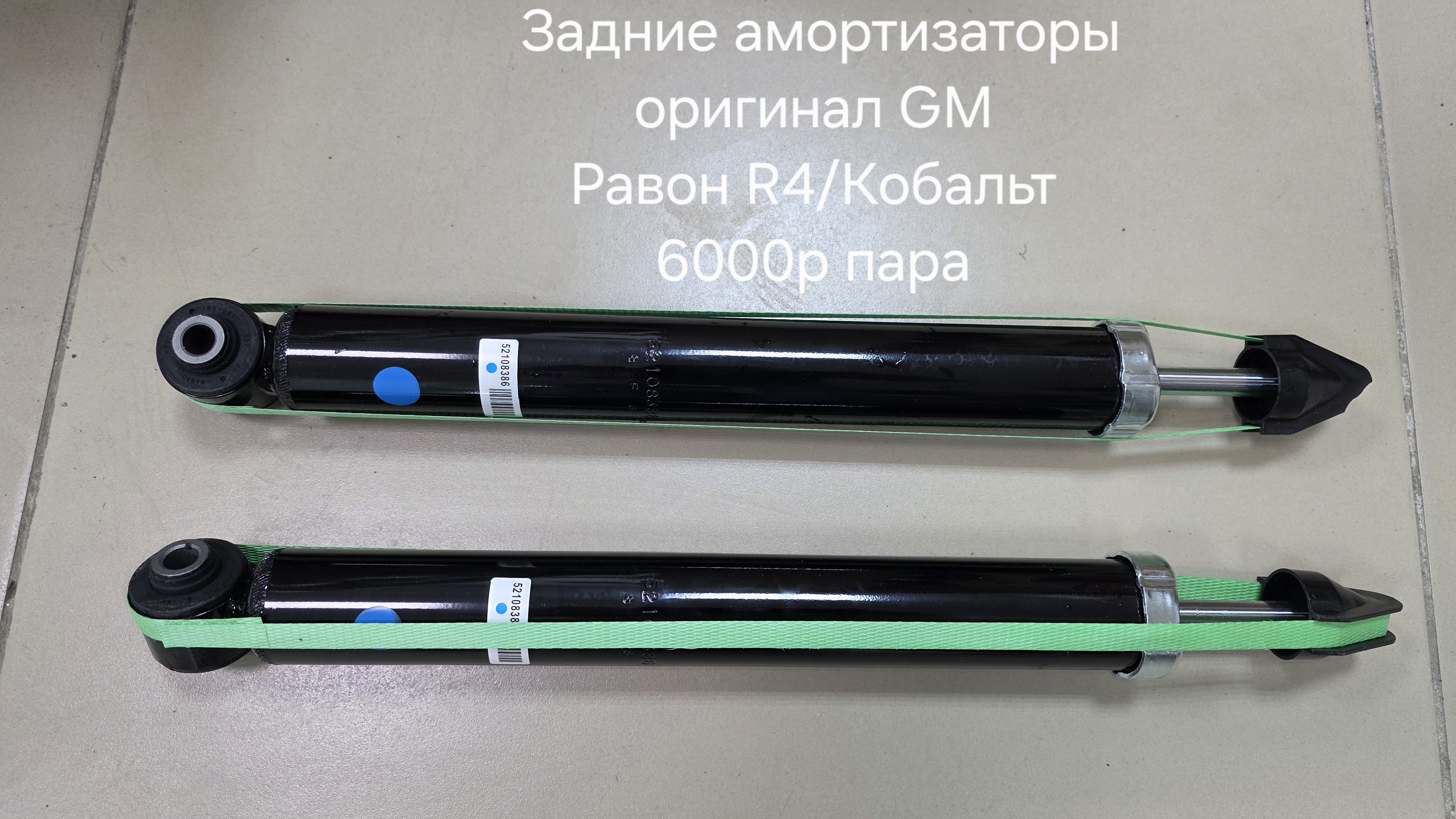 Задние амортизаторы Равон R4